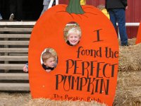 200410 - Pumpkin Patch