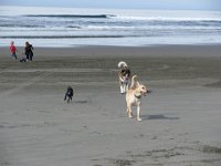 200910 - Fort Stevens