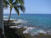 201007 - Hawaii Vacation (Kona Condo)