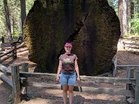 201707 - California (Calaveras Big Trees)